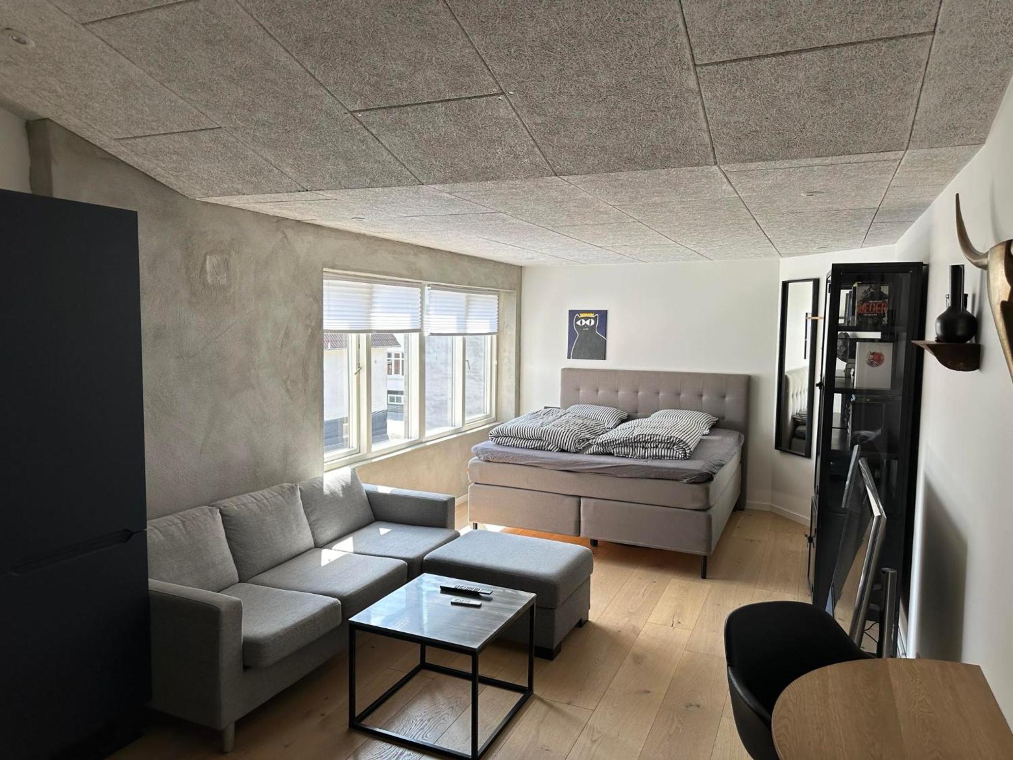 Apartament Ekslusiv Lejlighed Herning Zewnętrze zdjęcie
